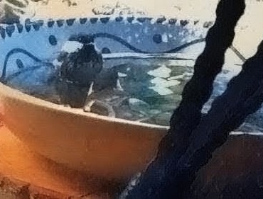 Finding Stillness: Garden Visitors at the Sea Glass Fountain