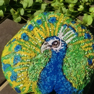 Inspired by Nature: From a Chance Encounter to Rock Art