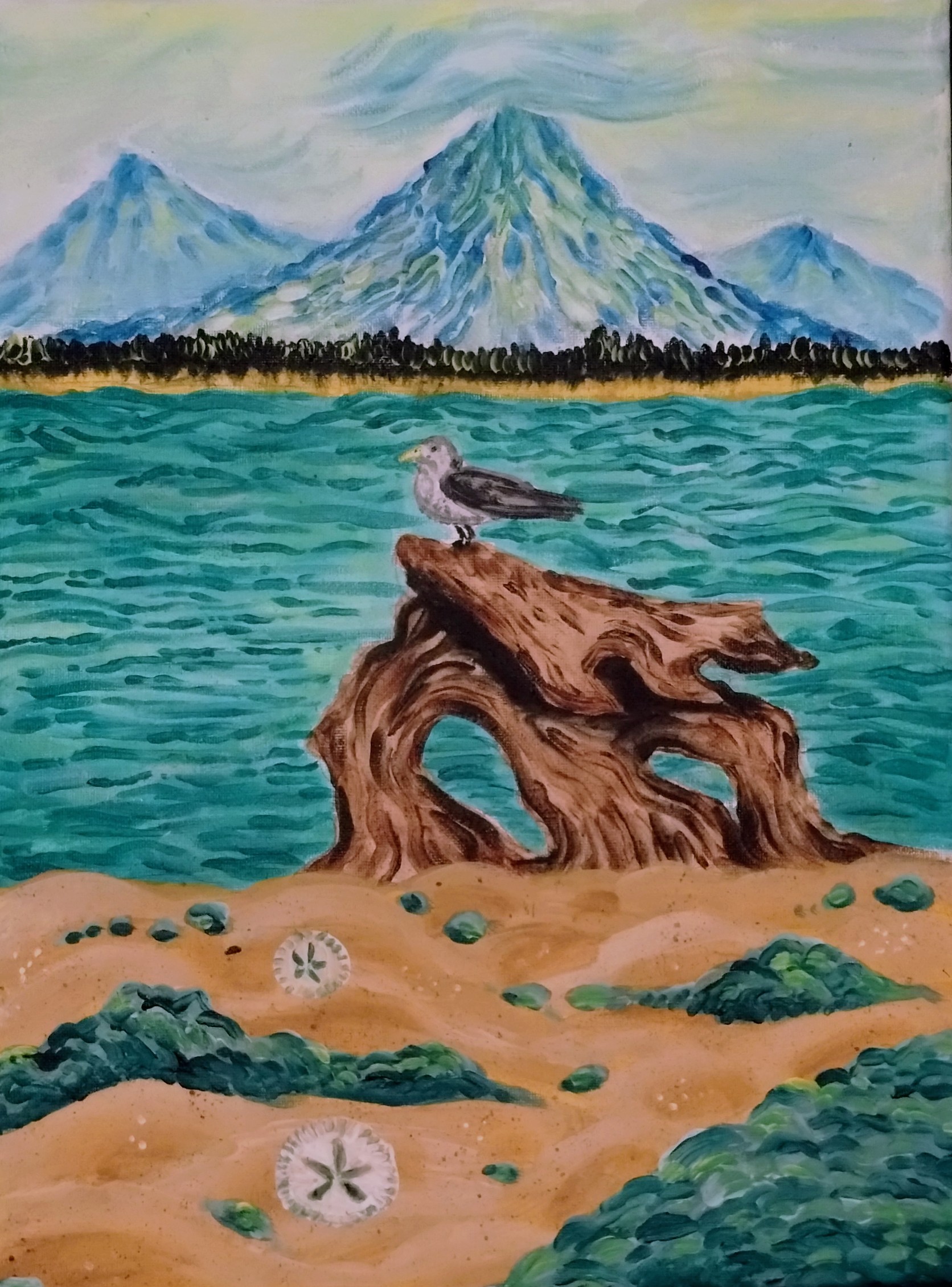 Seagull View