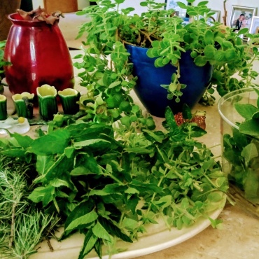 Harvesting the Whidbey Island Sun: Preparing Herbs for Fall and Winter Cozy Kitchens