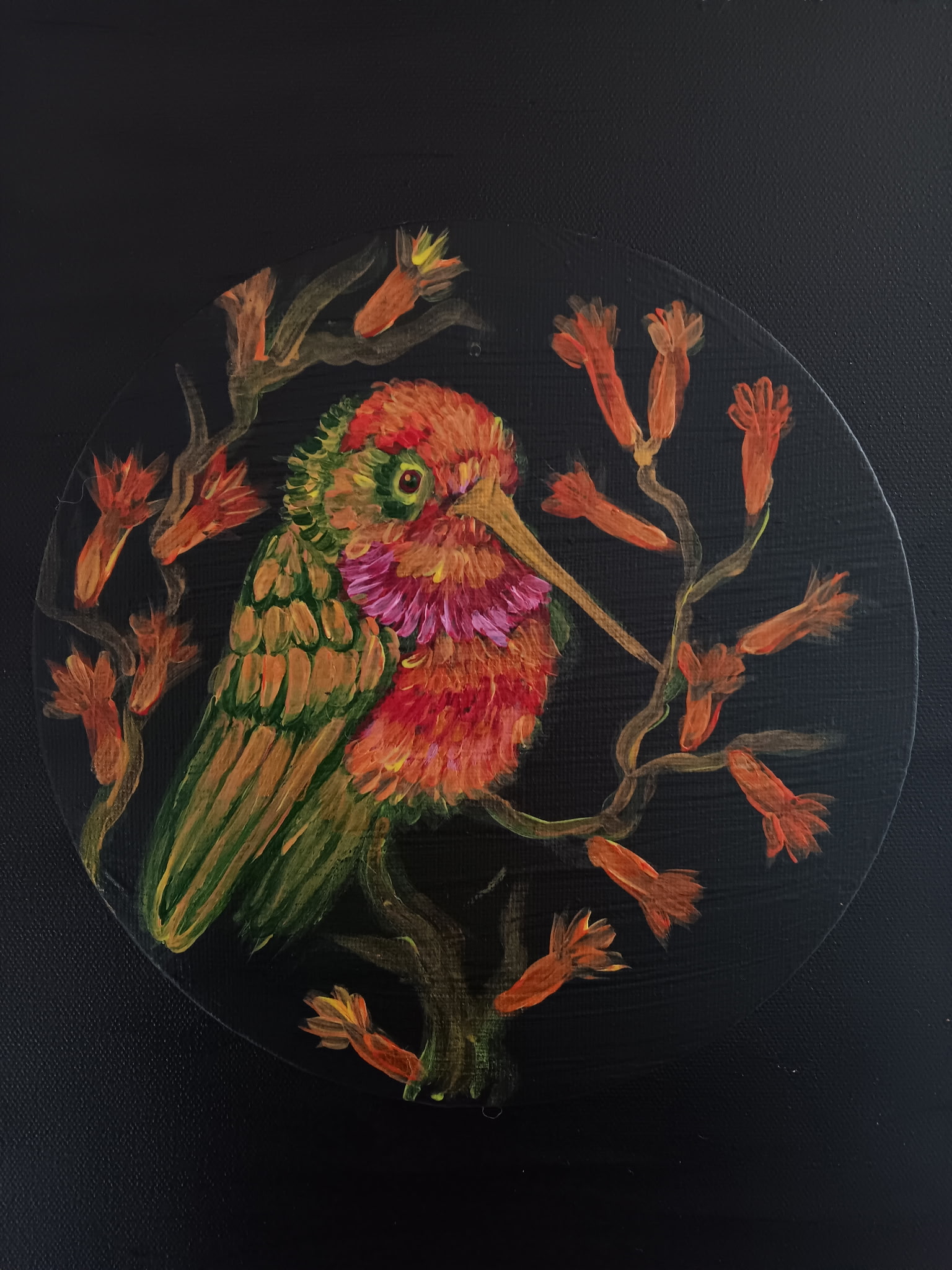 ​Hummingbird in Honeysuckle