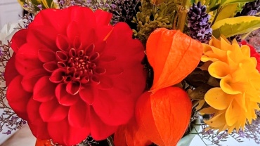 Gallery item