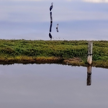 Stillness In Nature