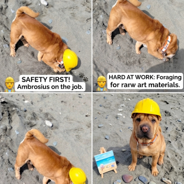​The Beachside Studio Assistant & The Great Treasure Hunt!!