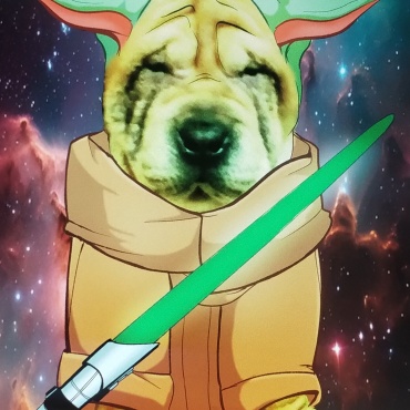 Spooky Season Meets Sci-Fi: Our Shar Pei Pup as Jedi Master Grogu