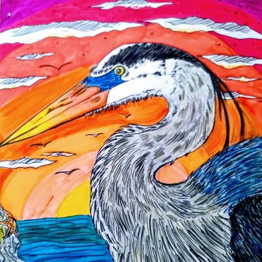 The Great Blue Heron Runway Show!