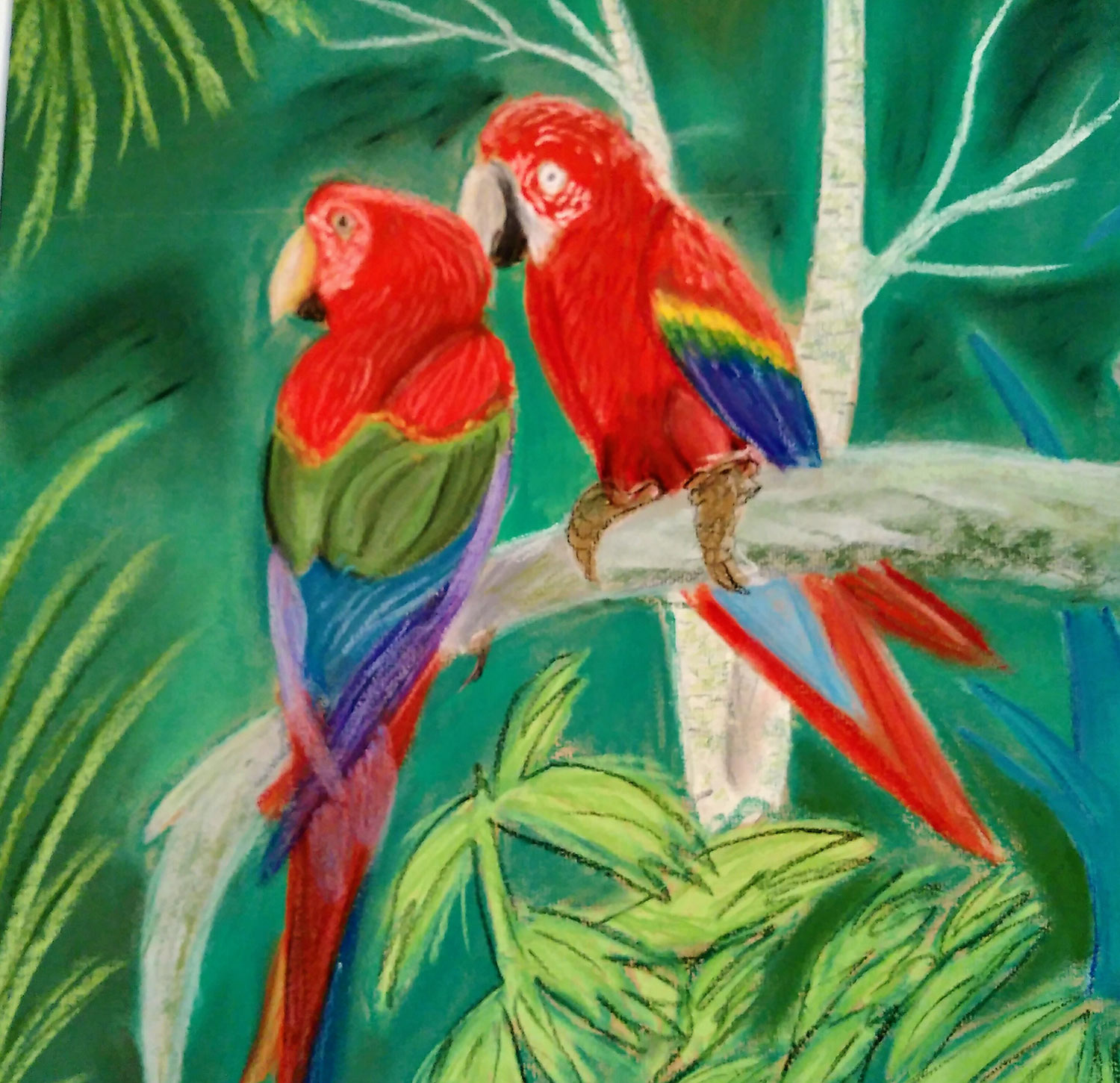 Parrot Love